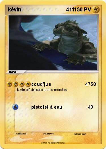 Pokemon kévin                               411