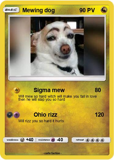 Pokemon Mewing dog