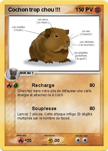 Pokemon Cochon trop chou !!!