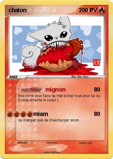 Pokemon chaton