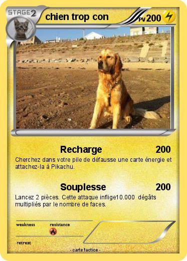 Pokemon chien trop con