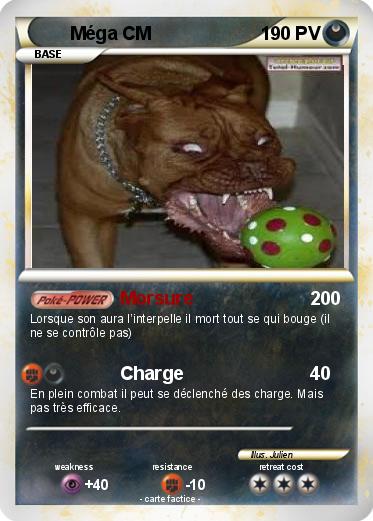 Pokemon Méga CM