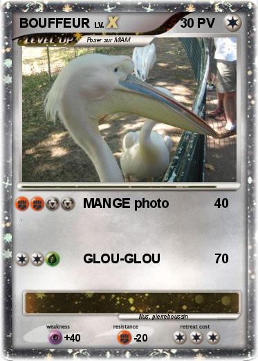 Pokemon BOUFFEUR