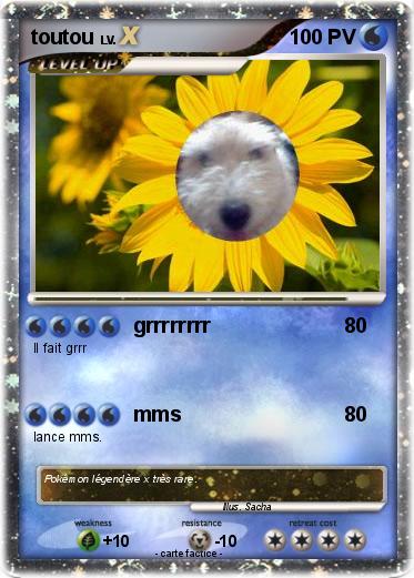 Pokemon toutou