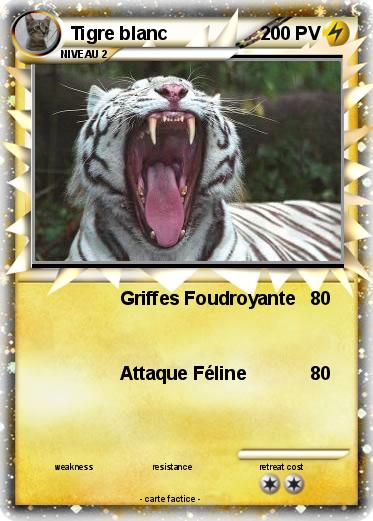 Pokemon Tigre blanc