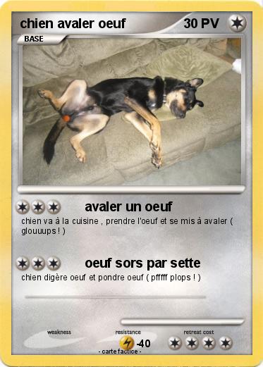 Pokemon chien avaler oeuf