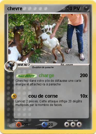 Pokemon chevre