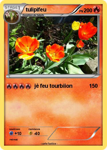 Pokemon tulipifeu