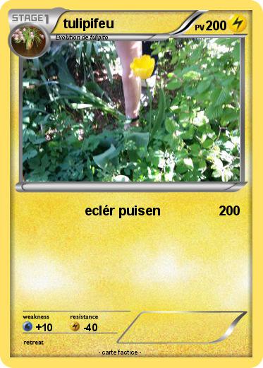 Pokemon tulipifeu