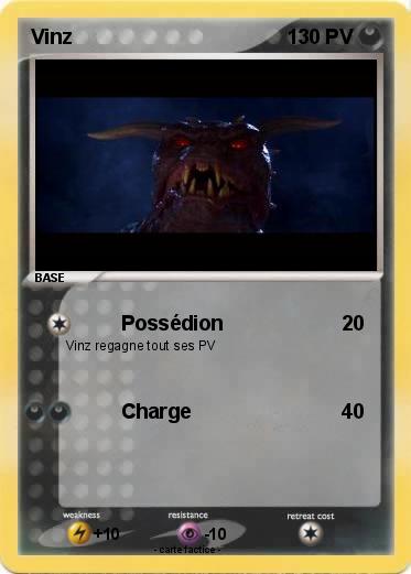 Pokemon Vinz