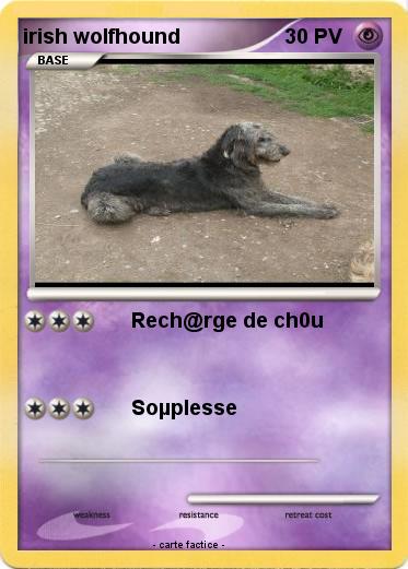 Pokemon irish wolfhound