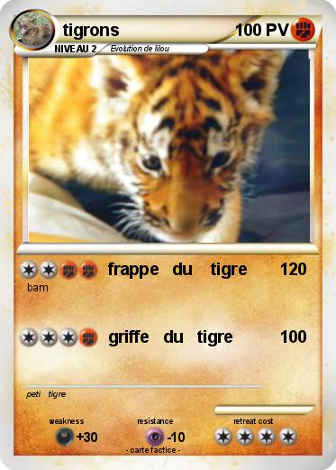 Pokemon tigrons