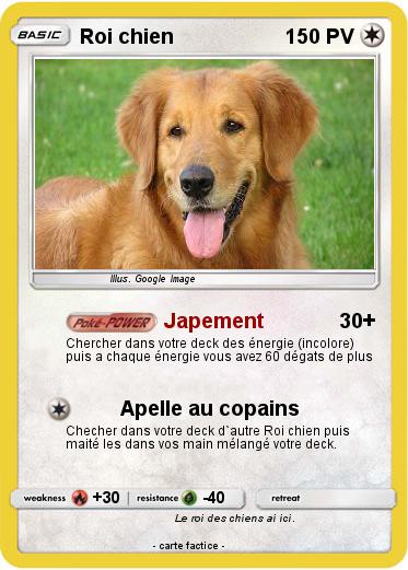 Pokemon Roi chien