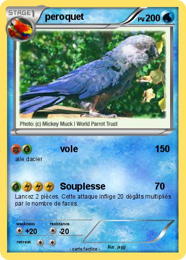 Pokemon peroquet
