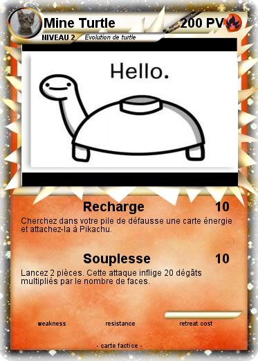 Pokemon Mine Turtle