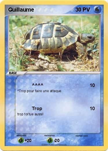 Pokemon Guillaume