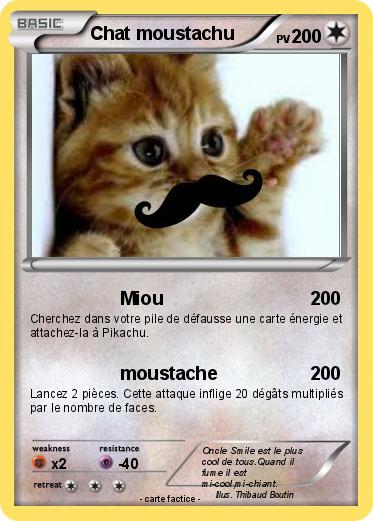 Pokemon Chat moustachu