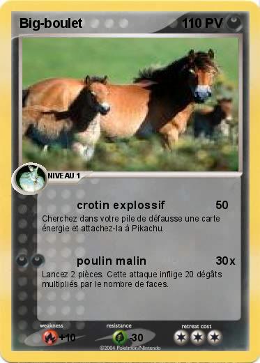Pokemon Big-boulet