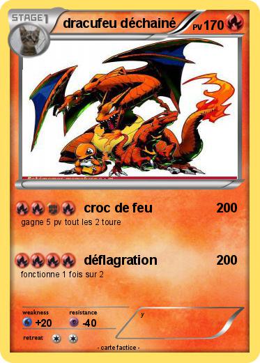 Pokemon dracufeu déchainé