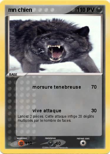 Pokemon mn chien 