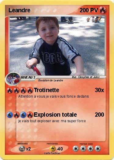 Pokemon Leandre