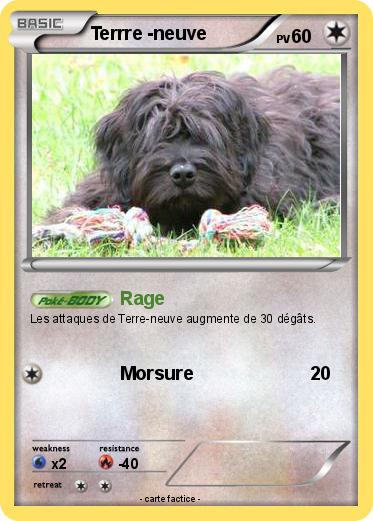 Pokemon Terrre -neuve