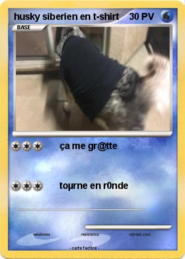 Pokemon husky siberien en t-shirt