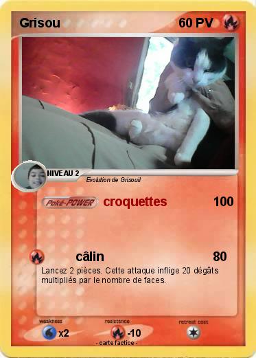 Pokemon Grisou