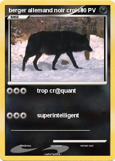 Pokemon berger allemand noir croisé
