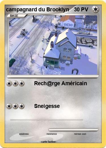 Pokemon campagnard du Brooklyn