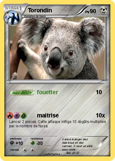 Pokemon Torondin