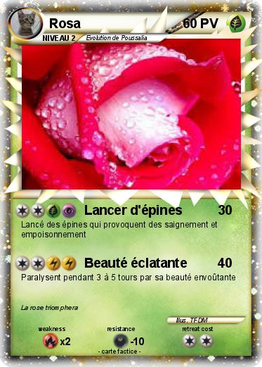Pokemon Rosa