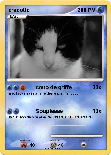 Pokemon cracotte