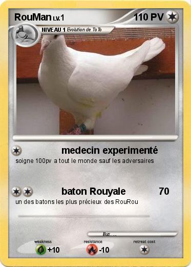 Pokemon RouMan