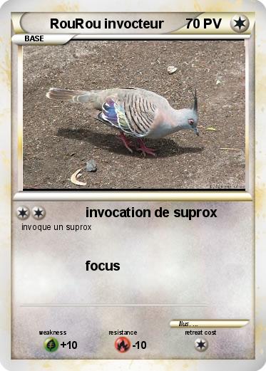 Pokemon RouRou invocteur