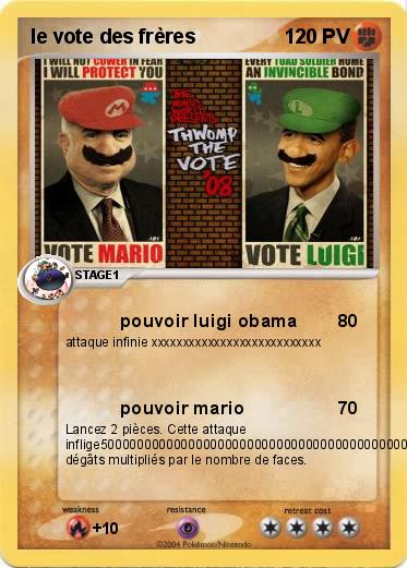 Pokemon le vote des frères