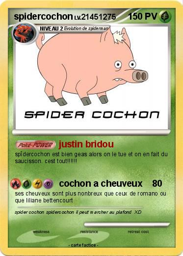 Pokemon spidercochon