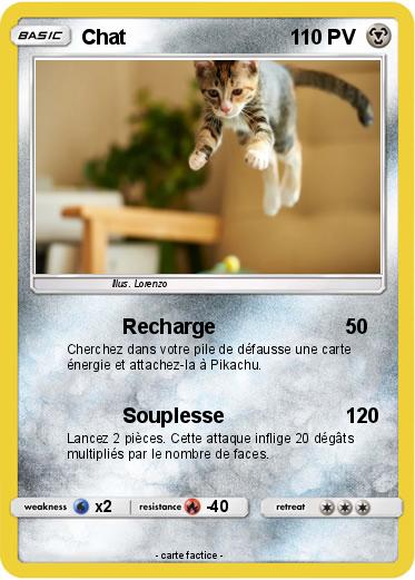 Pokemon Chat