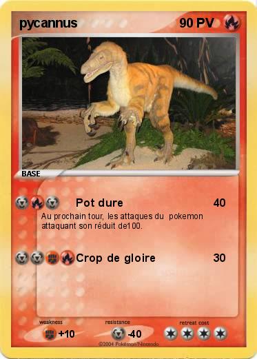 Pokemon pycannus