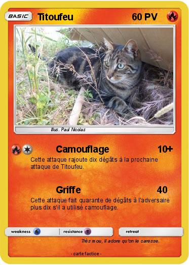 Pokemon Titoufeu