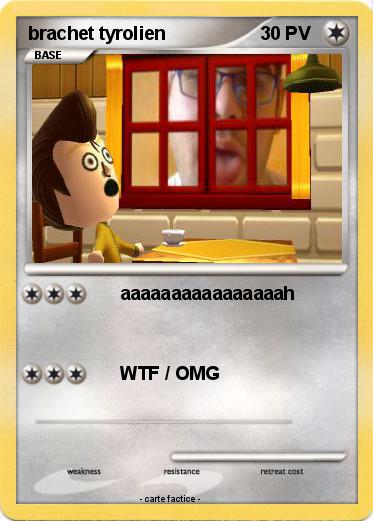 Pokemon brachet tyrolien