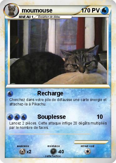 Pokemon moumouse