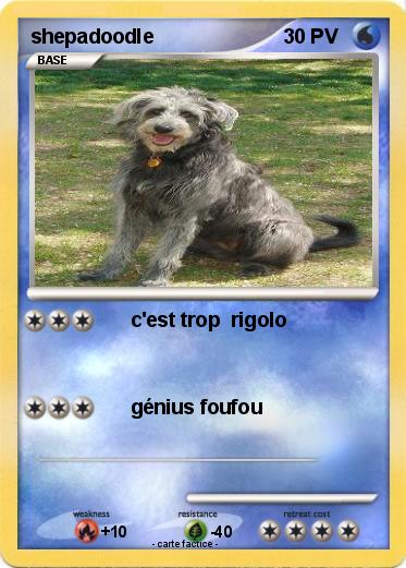 Pokemon shepadoodle