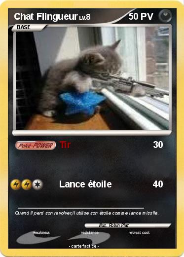 Pokemon Chat Flingueur