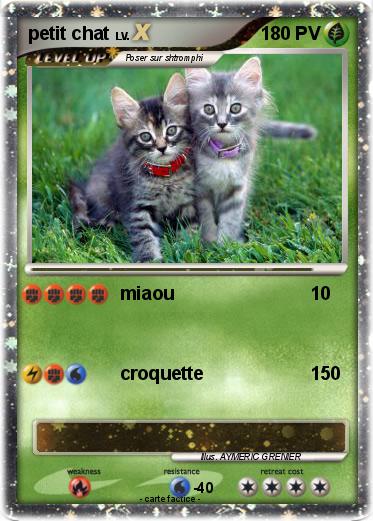 Pokemon petit chat