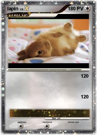 Pokemon lapin