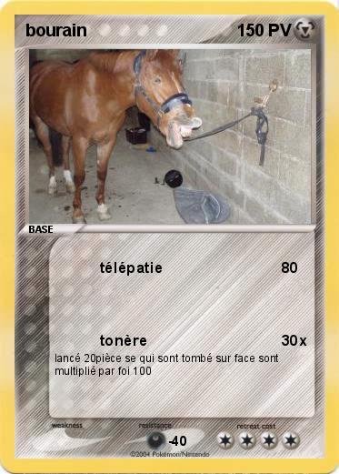 Pokemon bourain                                
