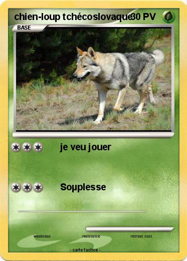 Pokemon chien-loup tchécoslovaque