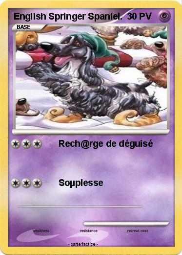 Pokemon English Springer Spaniel.