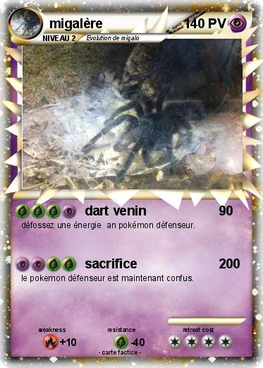 Pokemon migalère